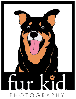 Fur Kid Photography